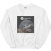 EuroSpaceHub by Pietro Pizzi - Sweater Unisex cotton - Image 4